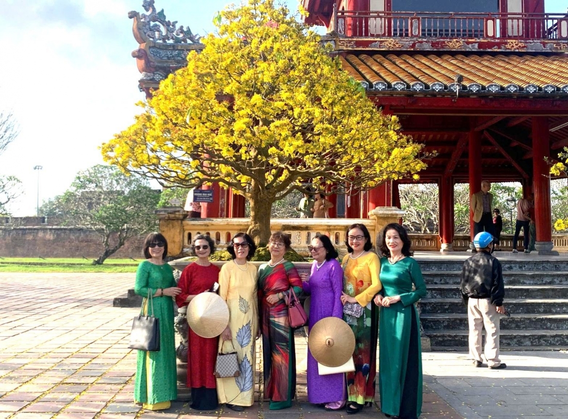cho hoa xuan o hue, hoa cuc mat mua duoc gia hinh anh 10