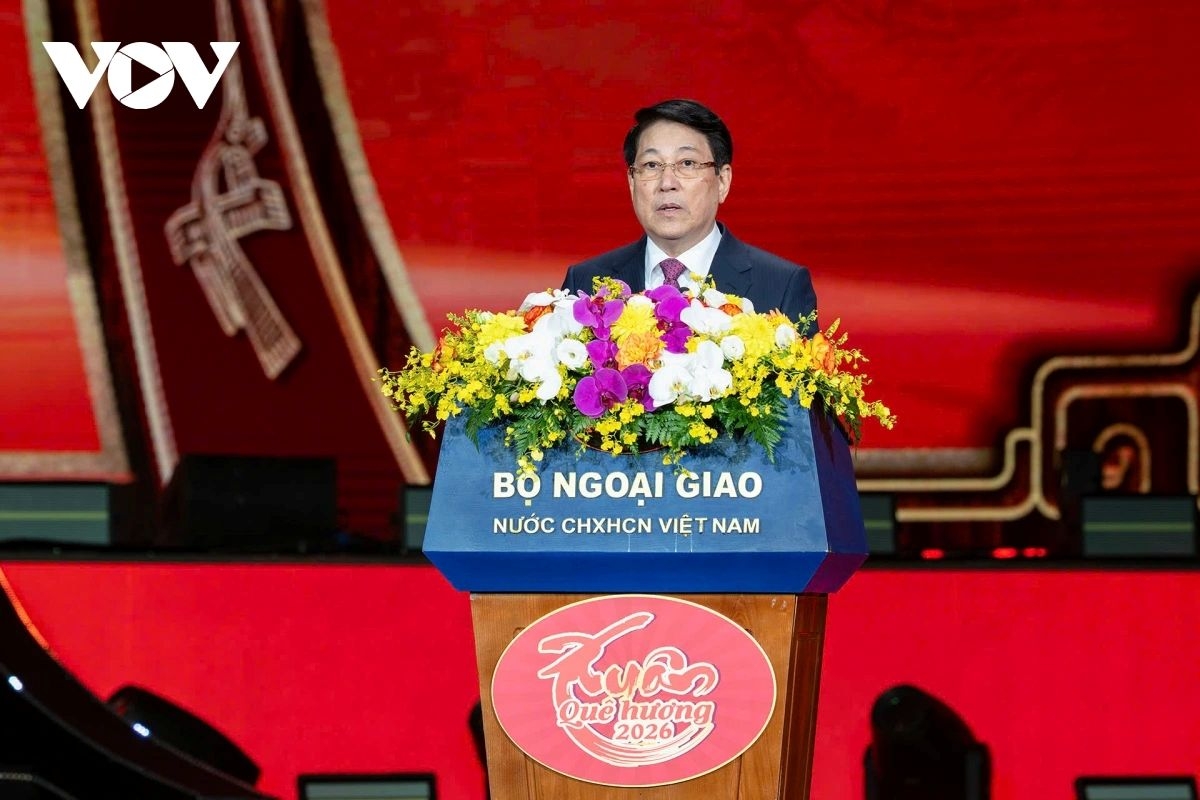 president urges overseas vietnamese to unite for national development picture 2