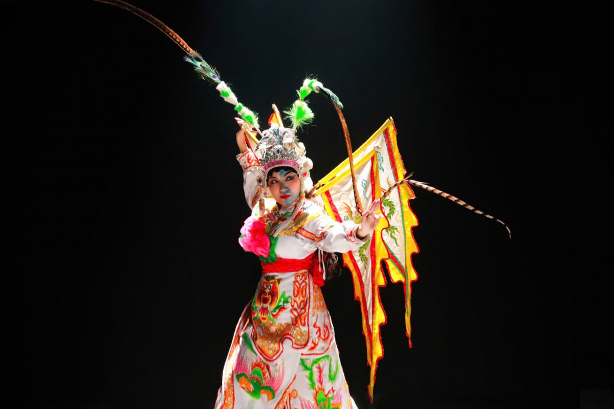 phim mua huyen su viet tai hien lich su dan toc bang ngon ngu mua hinh anh 3