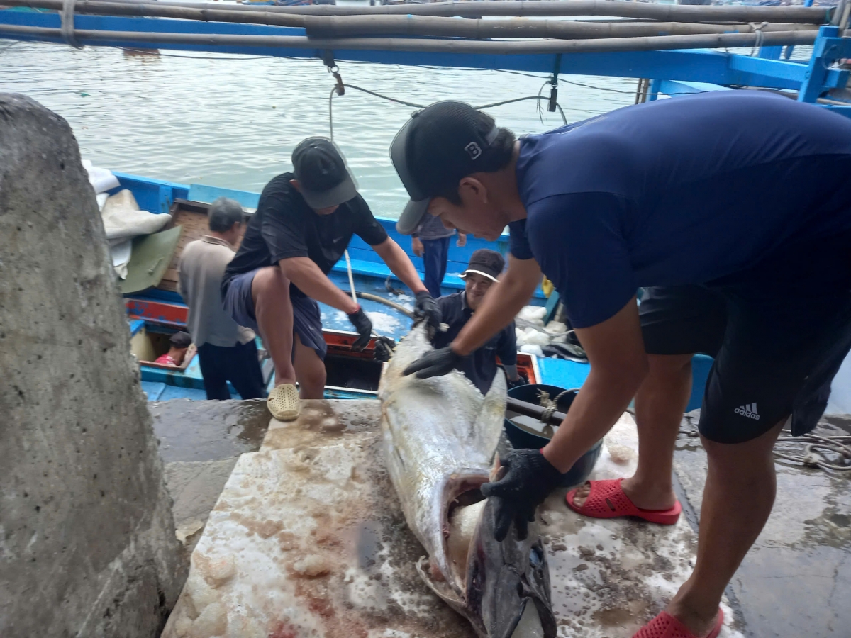 Lộc biển đầu năm từ Trường Sa, ngư dân đón Tết muộn trong niềm vui trọn vẹn