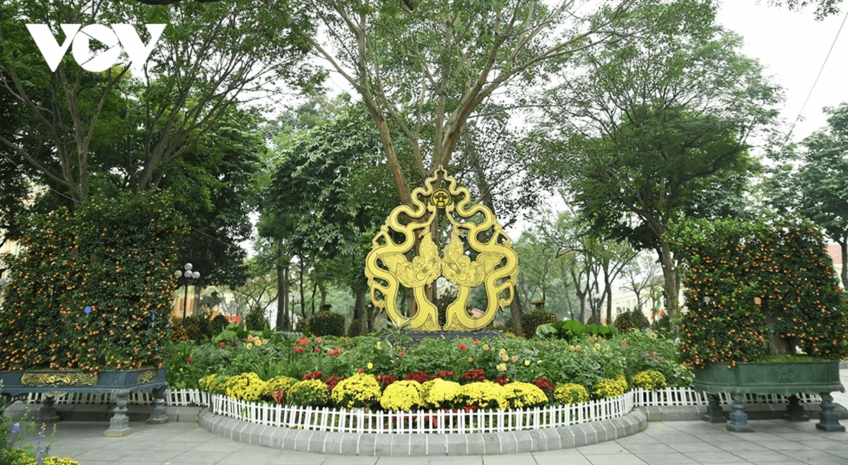 color-rich spring flower display at ly thai to flower garden in hanoi picture 2