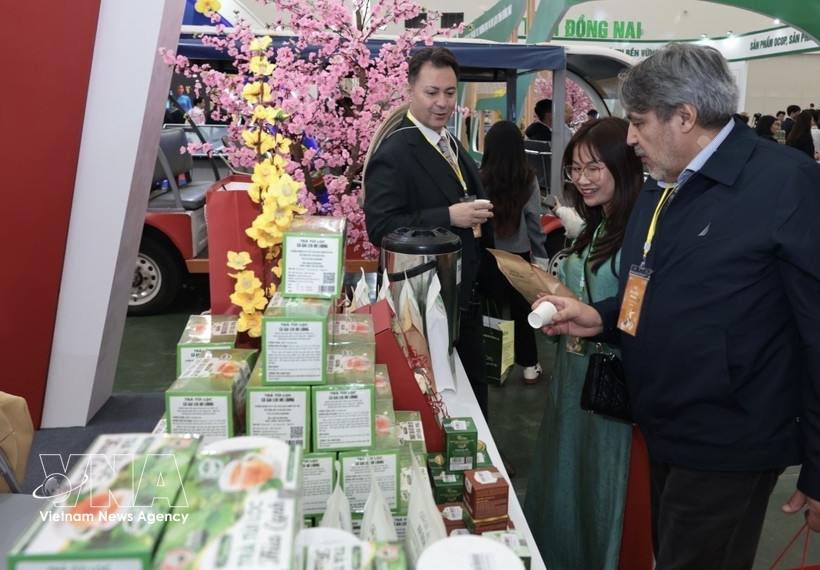 spring fair international visitors impressed by dynamic, culturally rich vietnam picture 1