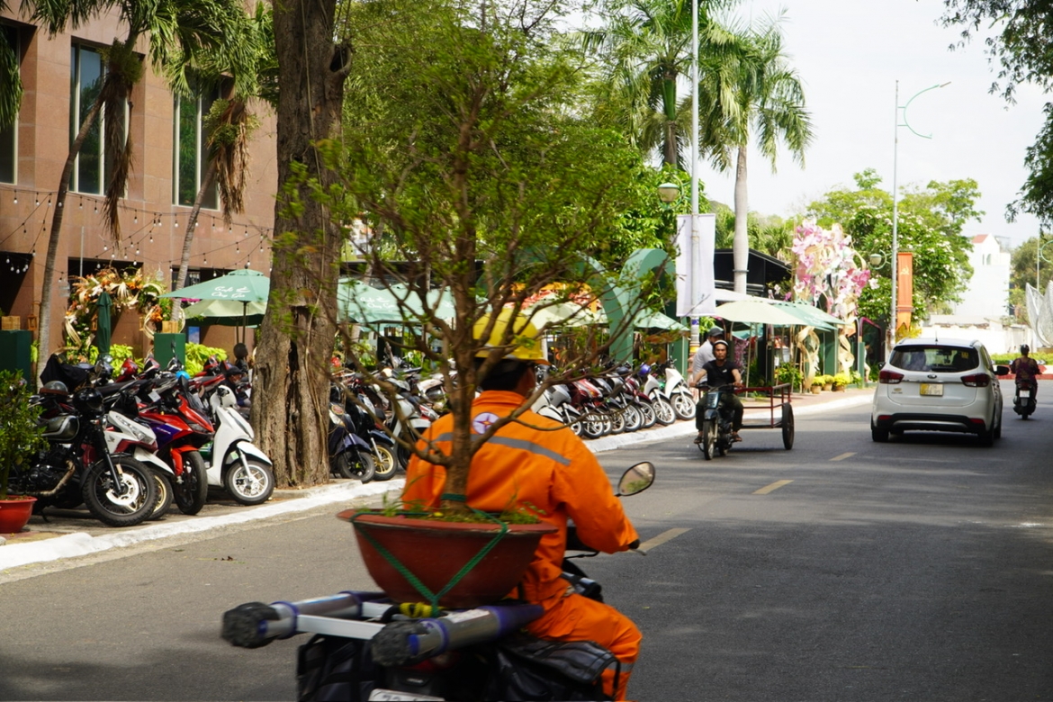 nhon nhip cho hoa, diem du xuan o khu Dong cua tphcm hinh anh 10