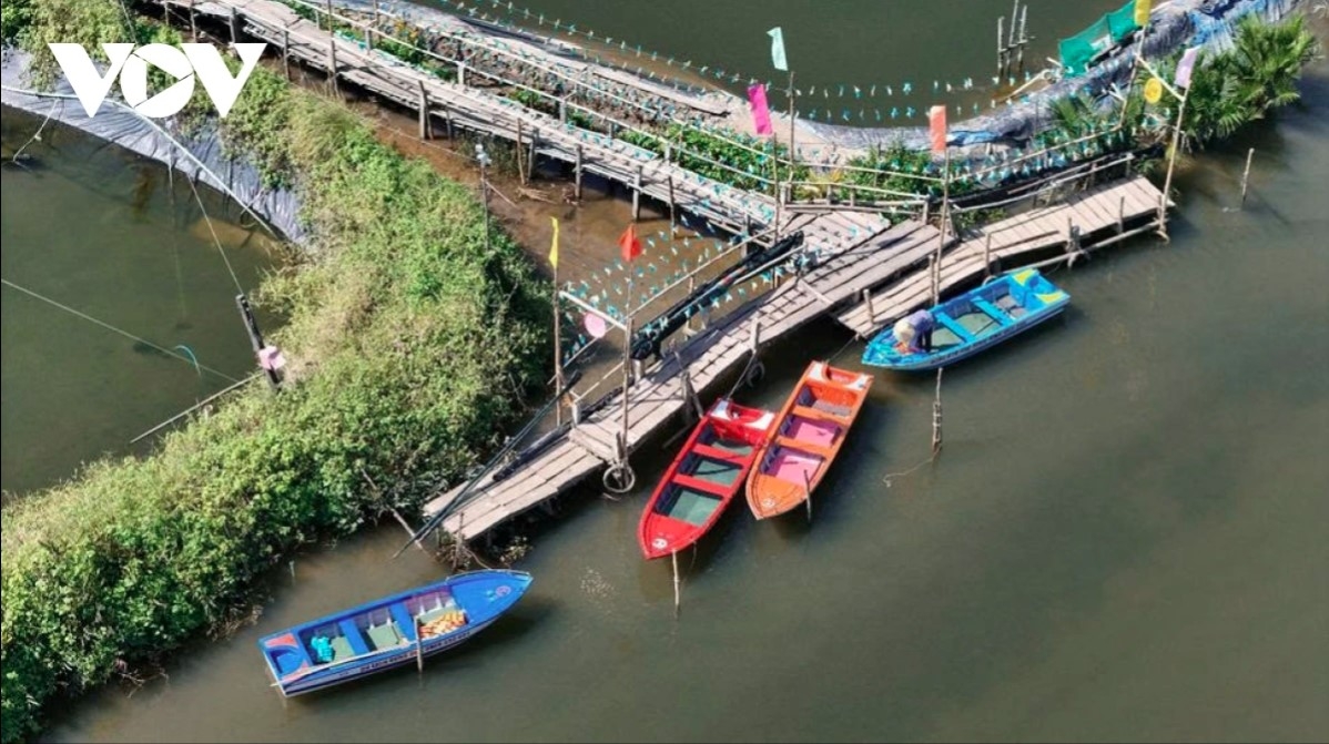 springtime trip to tinh khe coconut water forest in central vietnam picture 4