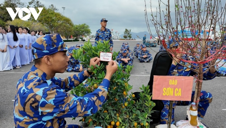 bringing early spring to truong sa picture 2