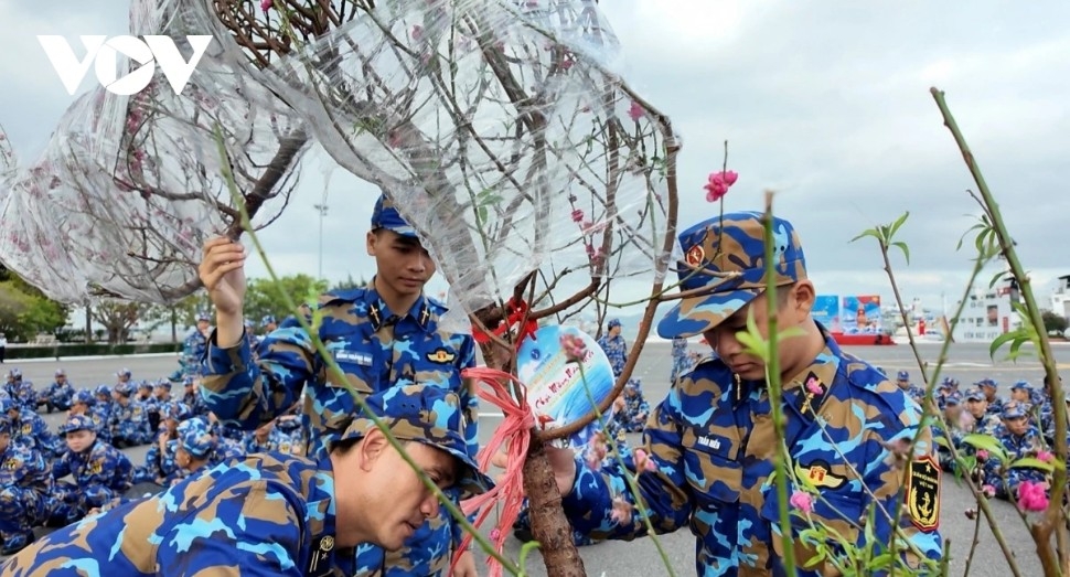 bringing early spring to truong sa picture 3