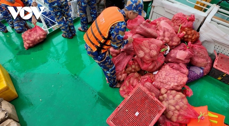 bringing early spring to truong sa picture 6