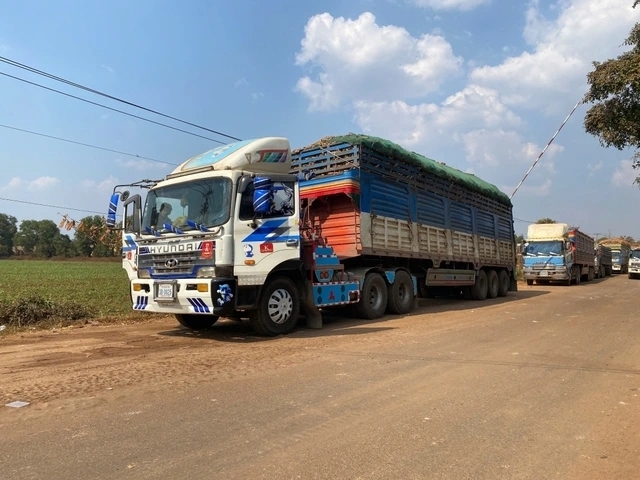 hai quan cua khau lam viec 24 7, thao go vuong mac thong quan thuc pham hinh anh 1
