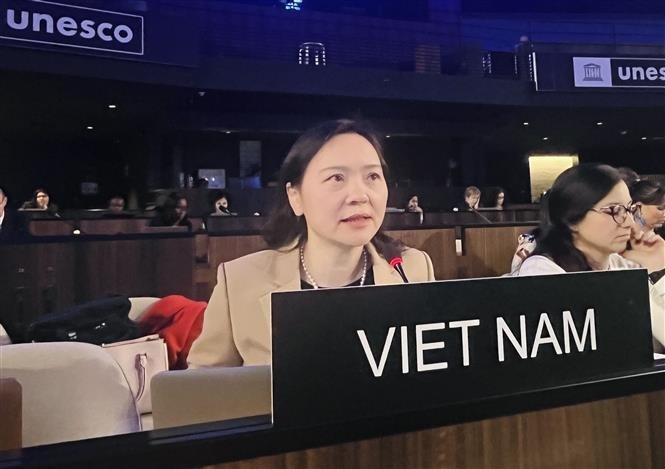 vietnam urges unesco to prioritise preferential treatment for developing countries picture 1