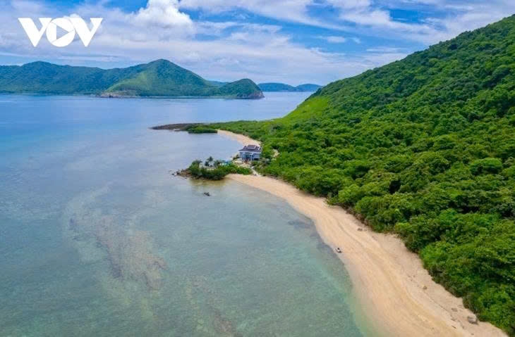  ly bien - thien nhien va long nguoi giao hoa trong khoanh khac mua xuan hinh anh 1
