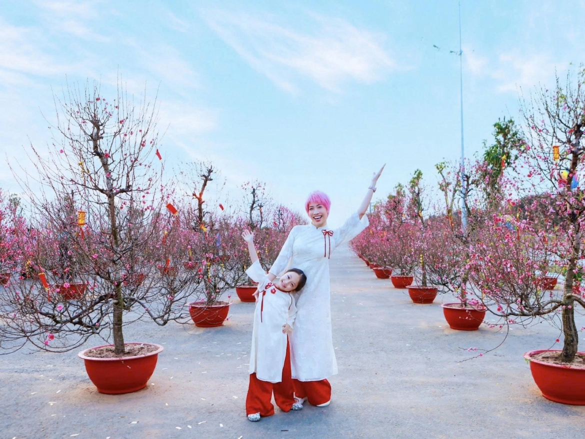 sao viet di cho hoa, trang hoang nha don tet binh ngo hinh anh 9