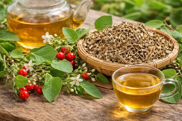 ca gai leo giai doc gan nhung nhom nguoi nay tuyet doi khong uong hinh anh 1