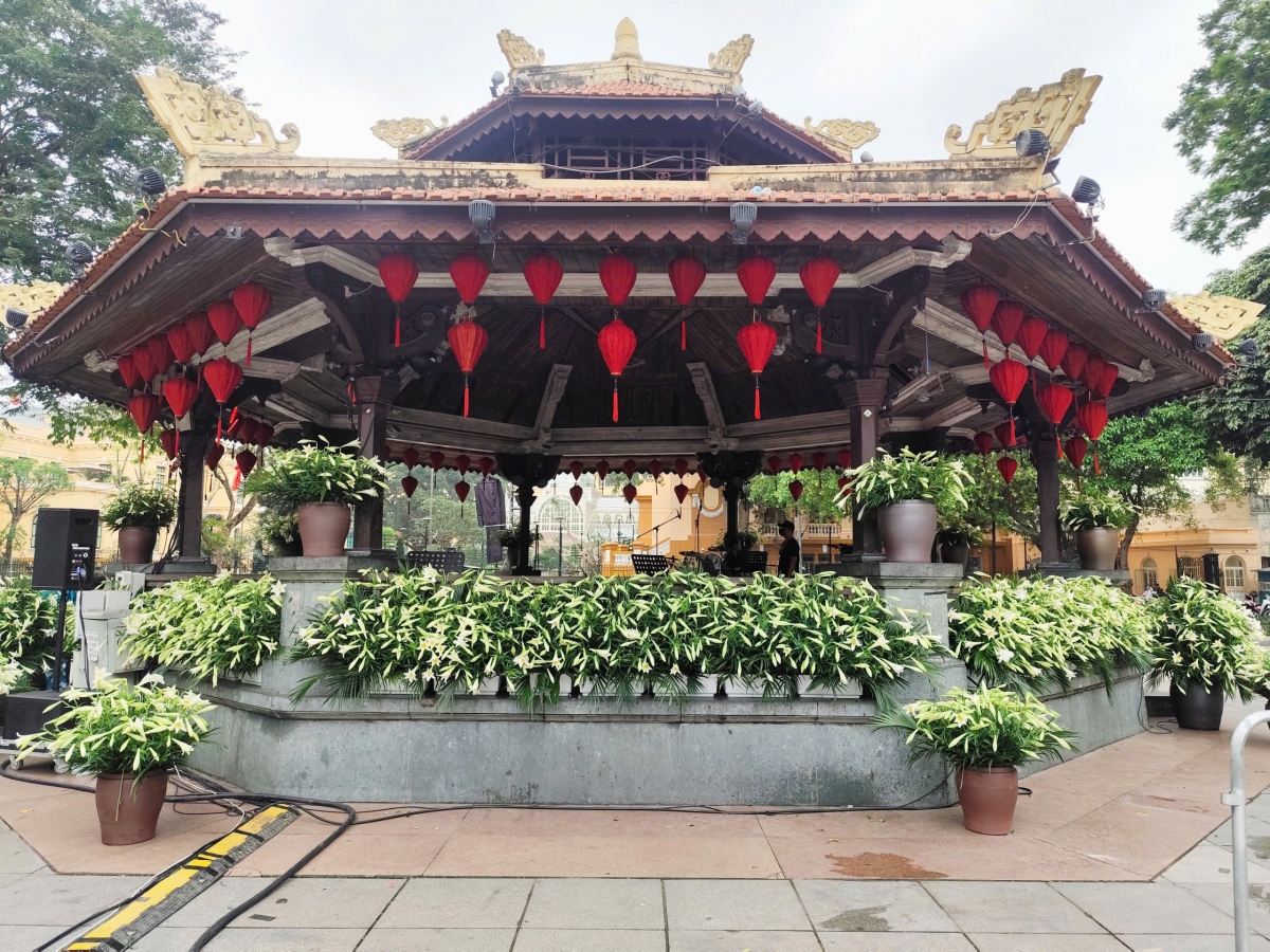 Hàng nghìn bông hoa loa kèn “đánh thức” không gian Nhà Bát Giác, Hà Nội