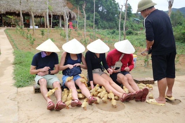 Từ đàn vịt quê đến “mỏ vàng du lịch”: Trải nghiệm lạ hút khách quốc tế