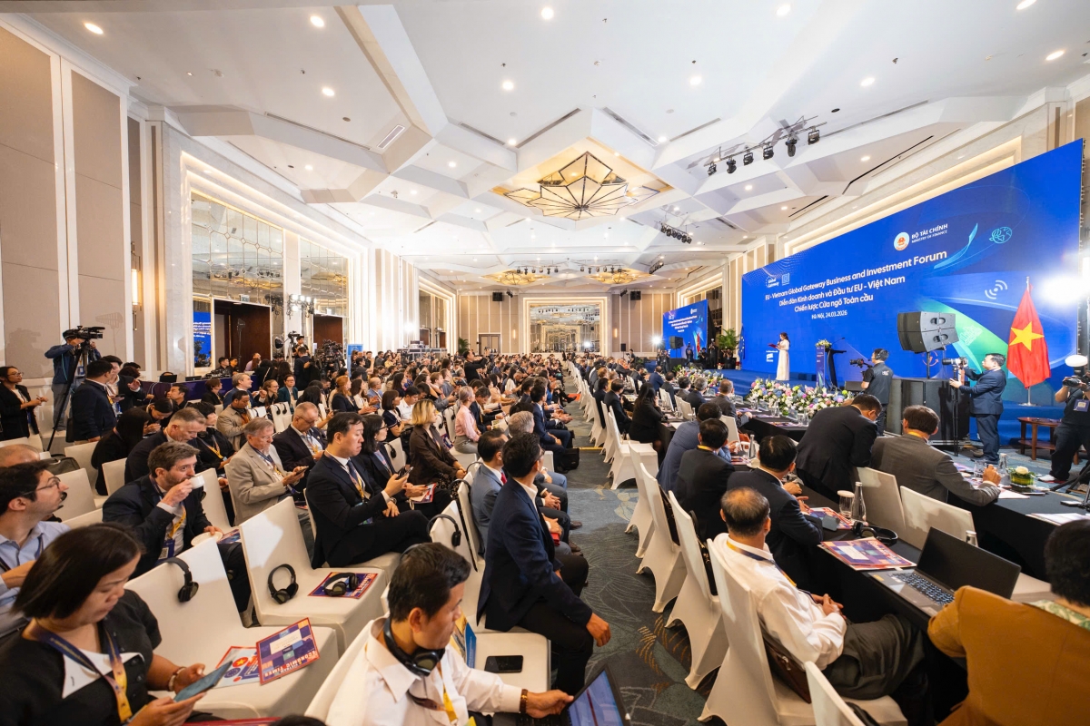 eu danh 560 trieu euro ho tro viet nam chuyen dich nang luong, phat trien kinh te hinh anh 1