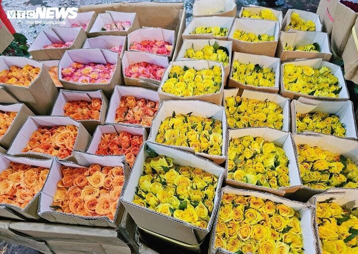 rose prices spike before march 8, traders fear unsold stock picture 3