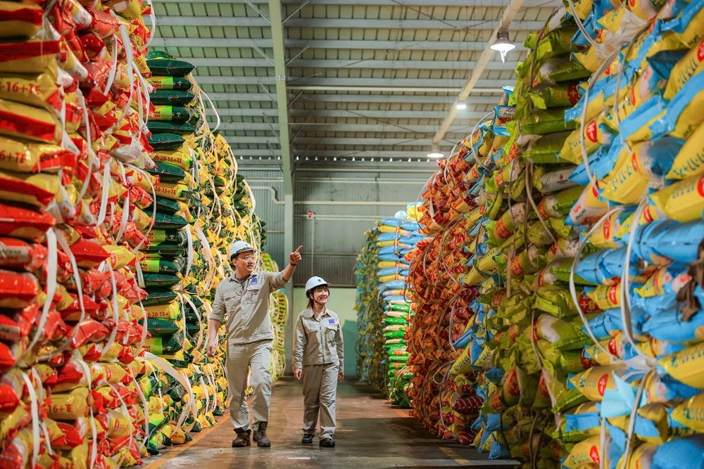 nha may Dam phu my van hanh cong suat, dam bao nguon cung phan bon va xuat khau hinh anh 2