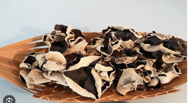 chi ngam moc nhi trong nuoc, coi chung ban dang an phai trung con trung hinh anh 1