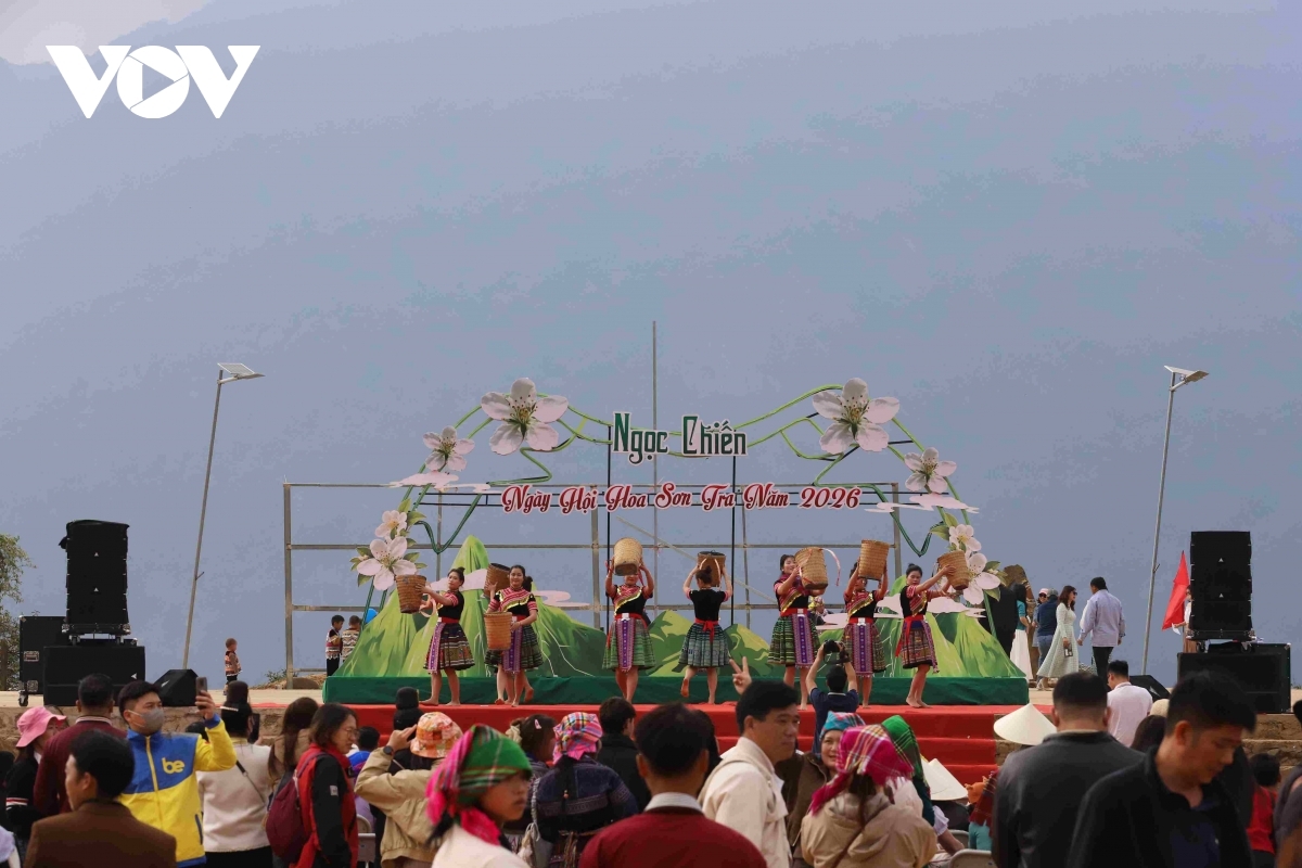 son tra blossoming - a white wonderland in the northwestern highlands picture 6