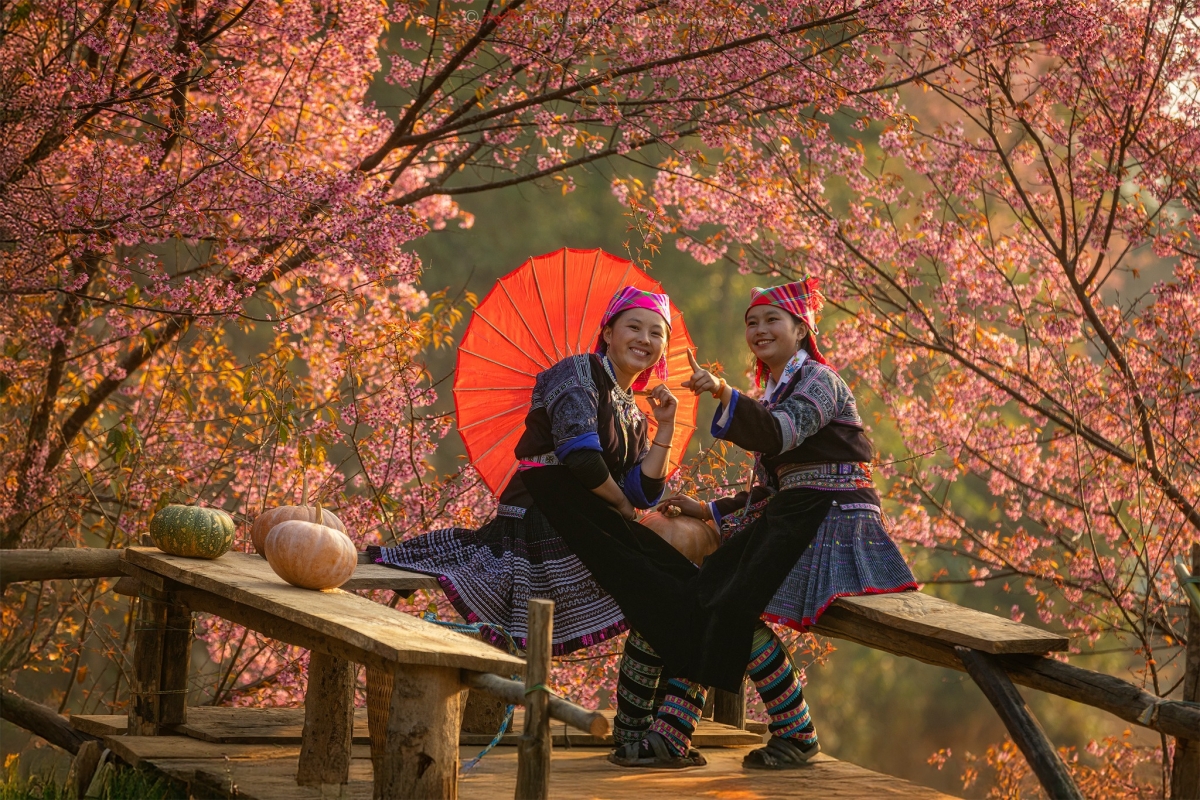 hanh phuc - gia tri ben vung trong doi song van hoa nguoi viet hinh anh 2