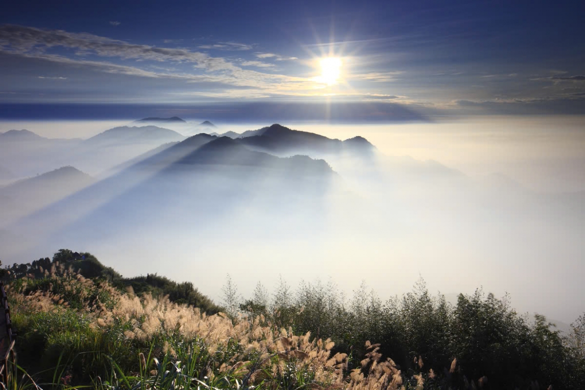 du xuan alishan - lac giua bien may va rung co thu cua Dai loan hinh anh 8