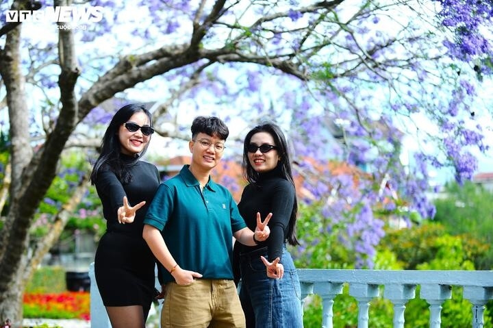 ngam Da lat tim biec sac mau loai hoa den tu nam my hinh anh 5