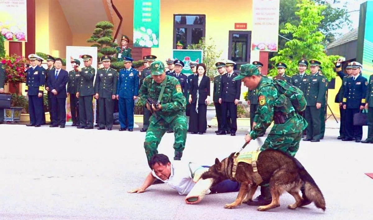 sniffer dogs assist border guard forces in anti-drug operation picture 7