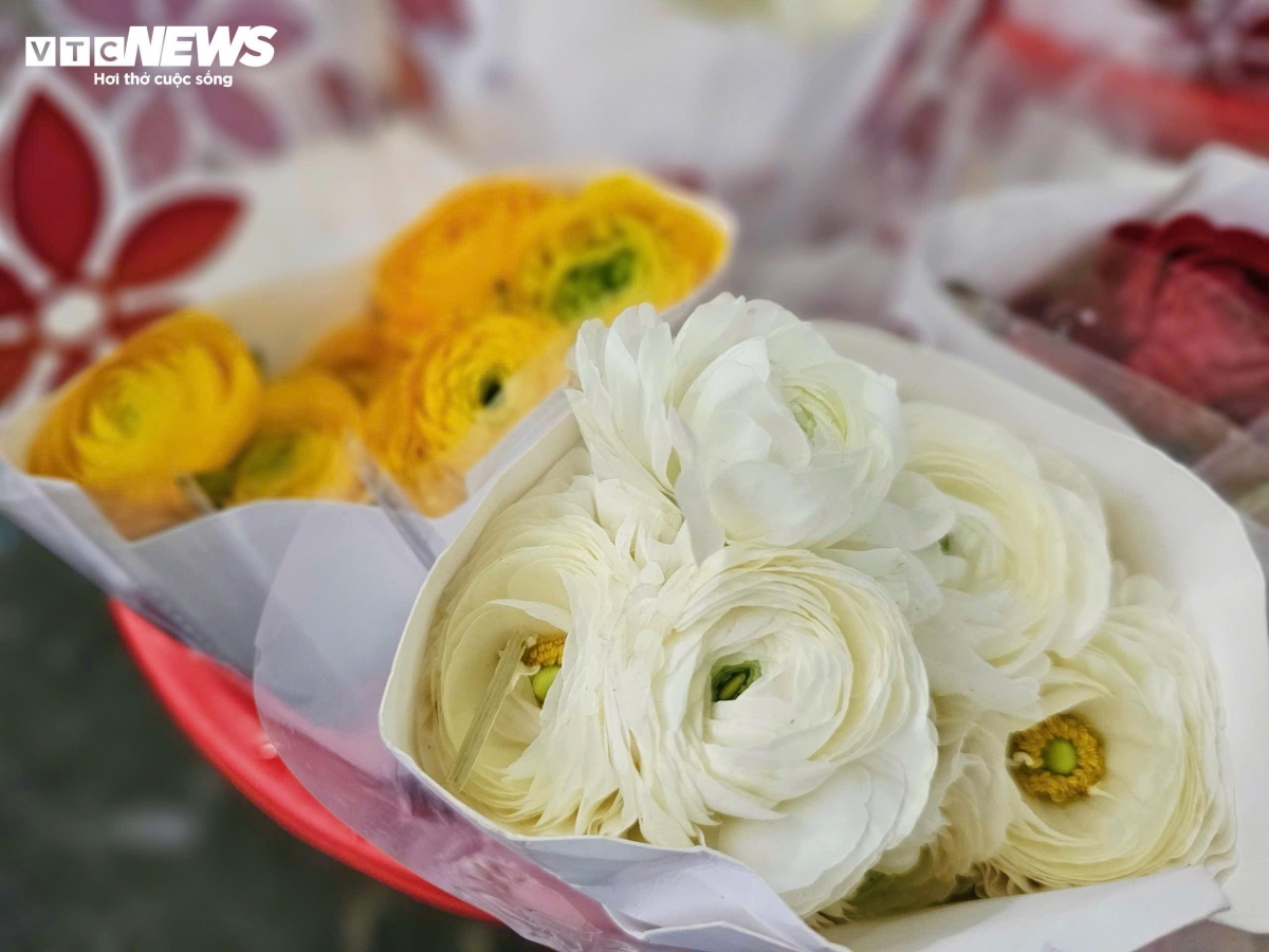 rose prices spike before march 8, traders fear unsold stock picture 8