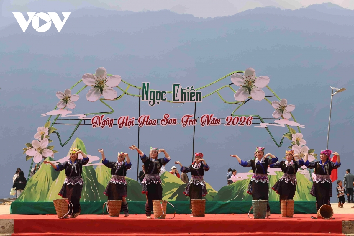 son tra blossoming - a white wonderland in the northwestern highlands picture 9