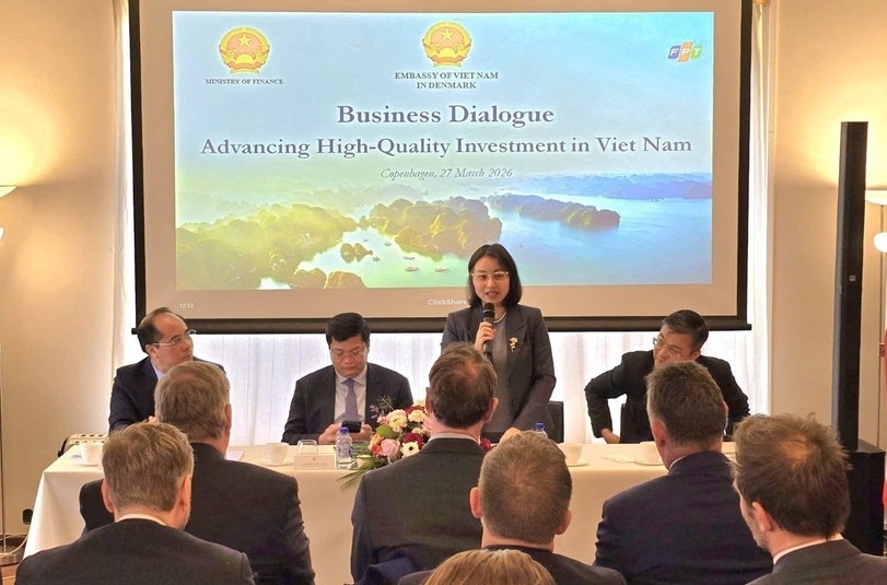vietnam, denmark promote high-quality investment cooperation picture 1