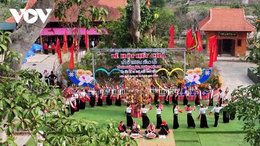 het cha festival highlights unique thai ethnic culture in son la picture 1