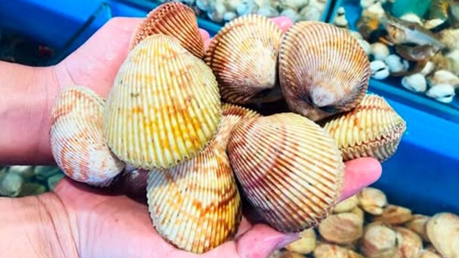 Loại hải sản có tên gọi khiến nhiều người tò mò, giá 300.000 đồng/kg