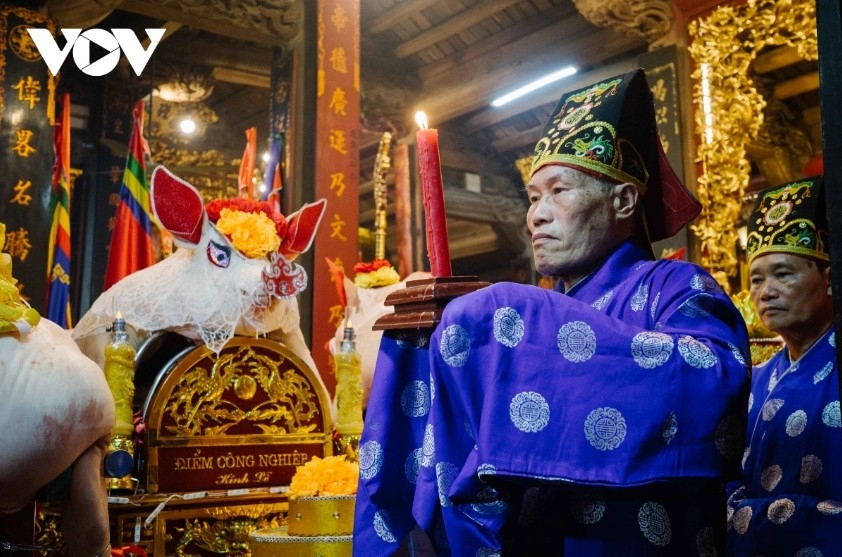 la phu pig procession highlights a unique early spring village ritual picture 1