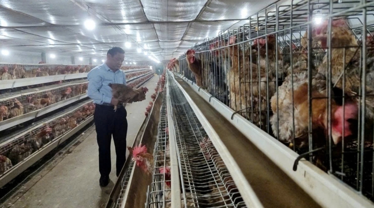 technology mastery and value chain linkages key to livestock sector picture 1