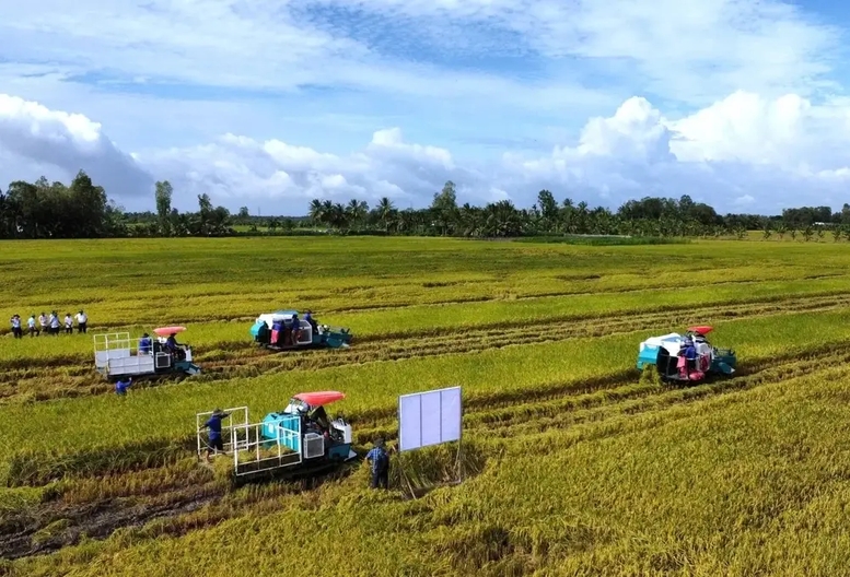 doanh nghiep, hiep hoi chung tay giu nhip san xuat nong nghiep hinh anh 2