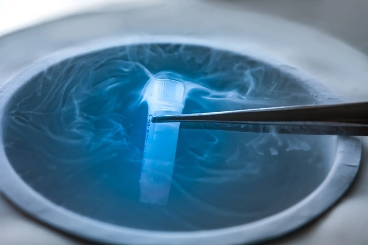 Vì sao ngày càng nhiều phụ nữ trữ đông trứng sớm?