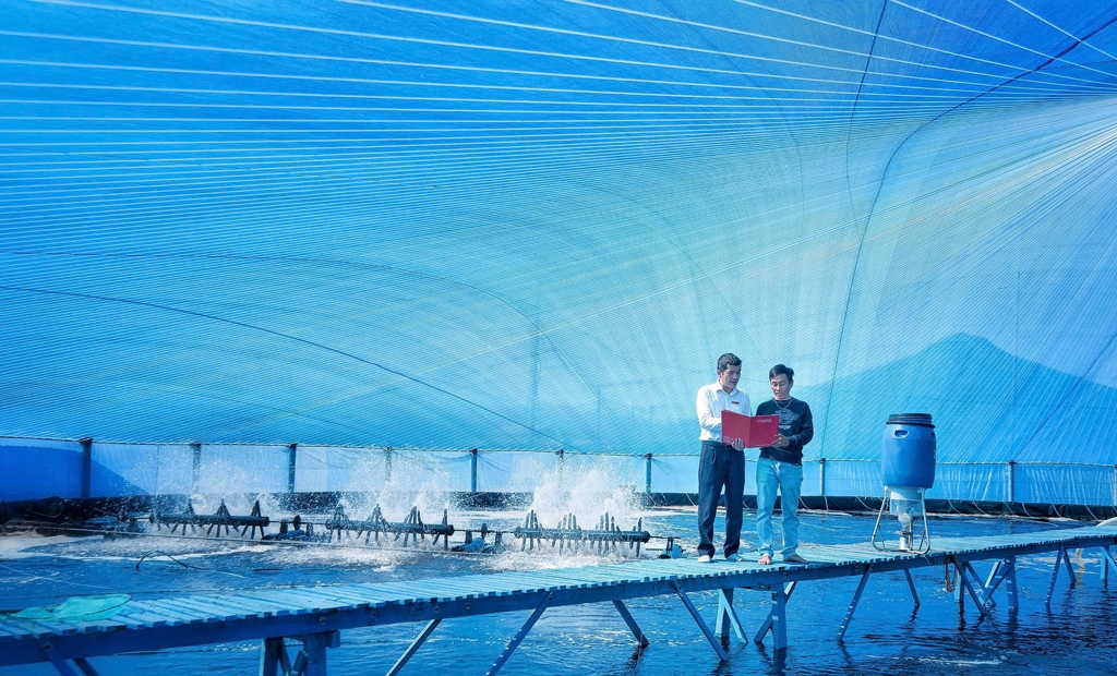 Agribank với trách nhiệm ESG toàn diện, từ “vốn xanh” đến an sinh cộng đồng