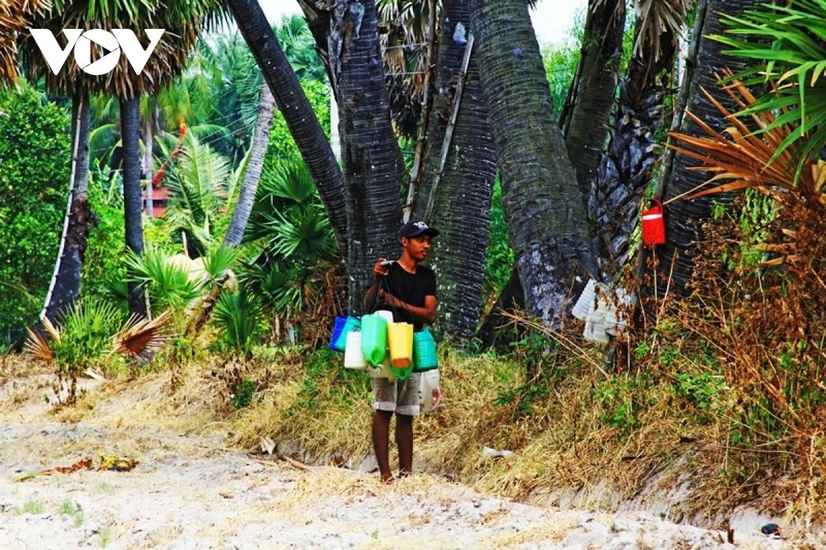 the sweet craft of palm sugar in an giang picture 3