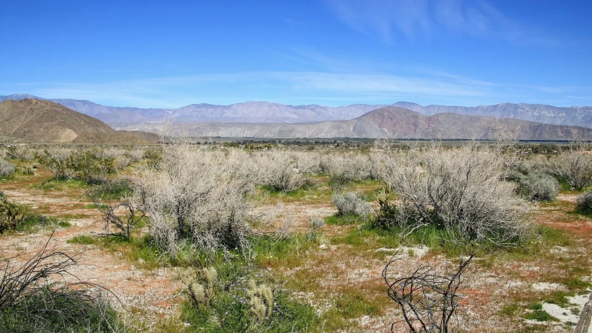 nhung diem den my noi tieng nho dien anh va cac bo phim thang giai oscar hinh anh 1