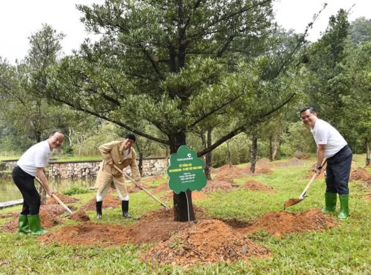 vietcombank phat dong tet trong cay vietcombank - vi mot viet nam xanh hinh anh 3