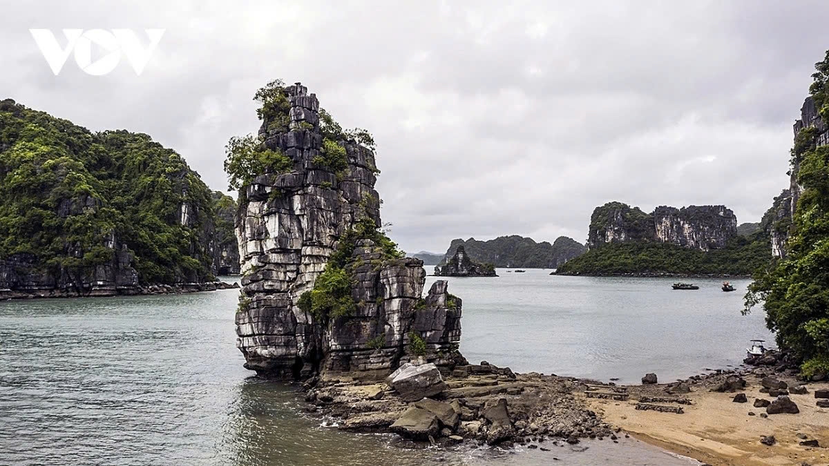 bai tu long bay named among southeast asia s seven wonders for 2026 picture 1
