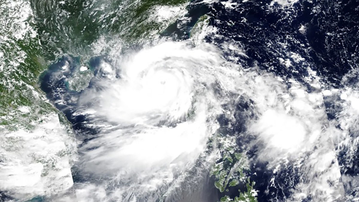 ly do doi ten bao yagi va trami hinh anh 1