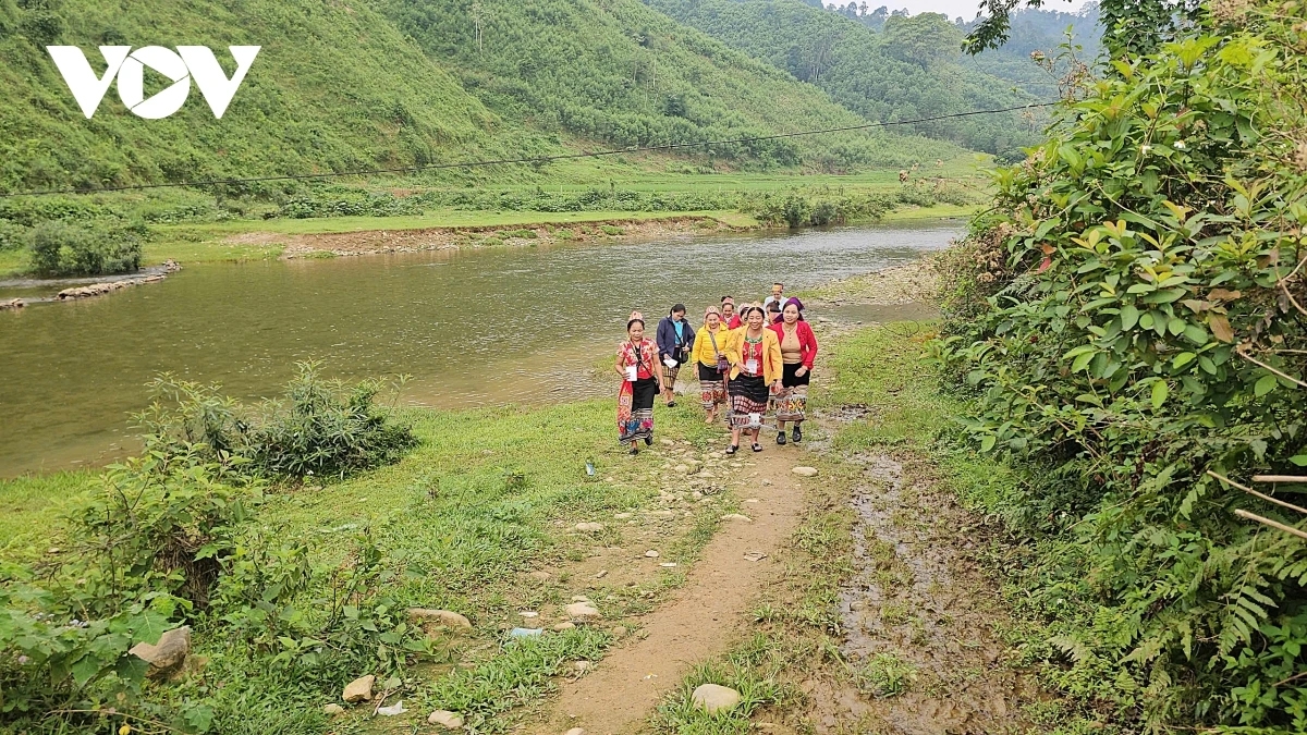 tuong thuat truc tiep ngay hoi toan dan 15 3 2026 hinh anh 6