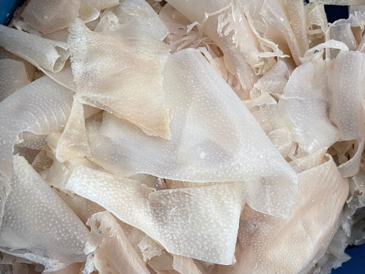 Bì lợn - bộ phận bị ghẻ lạnh nhưng là "kho báu" chống già