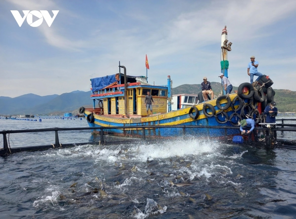 khanh hoa chu dong giu nhip tang truong truoc bien dong tu chien su trung Dong hinh anh 4