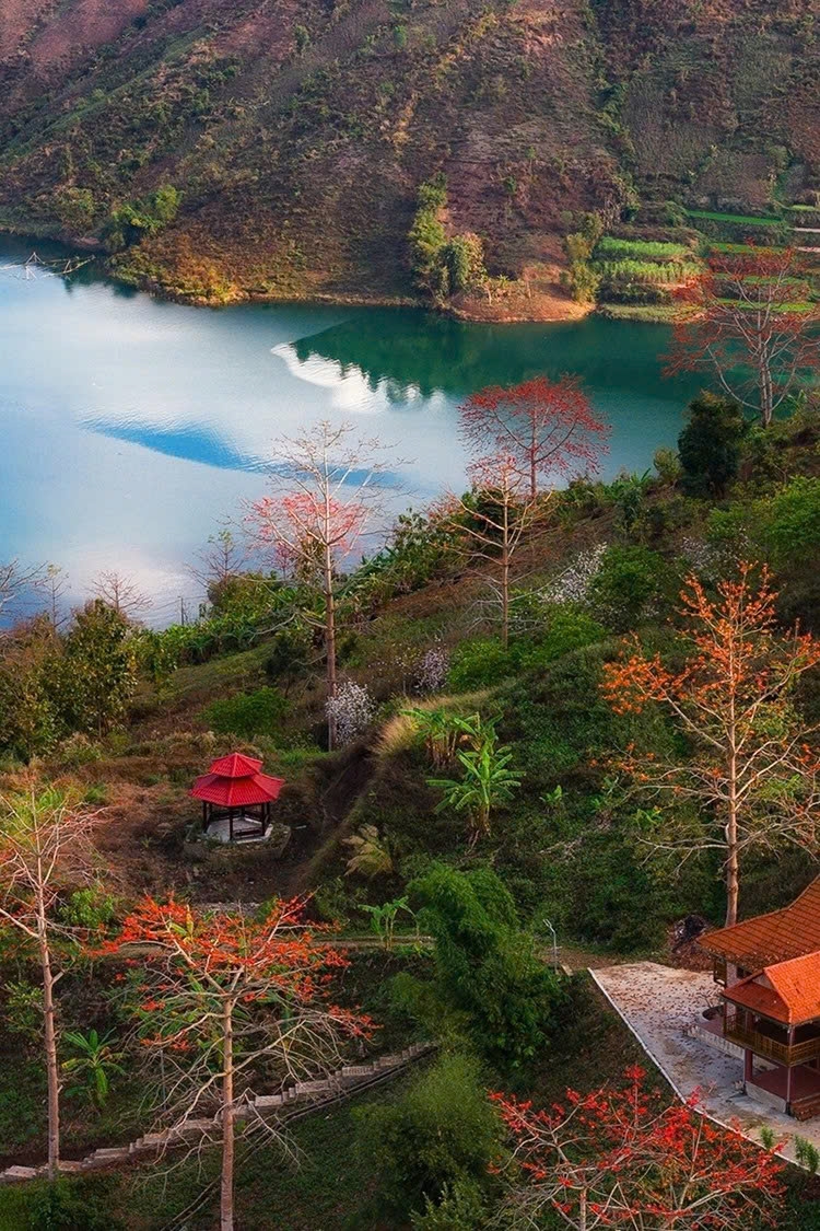 son la mountains ablaze with red silk-cotton blossoms picture 2