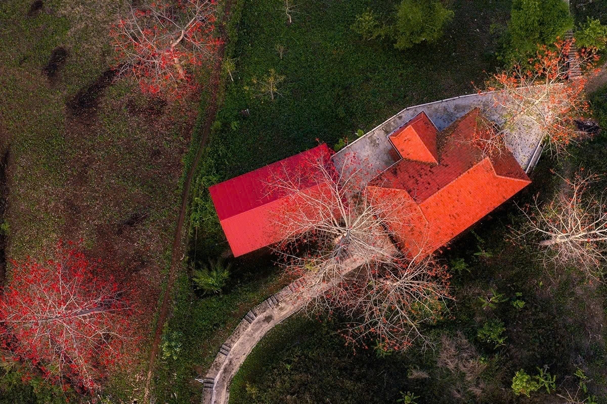 son la mountains ablaze with red silk-cotton blossoms picture 5
