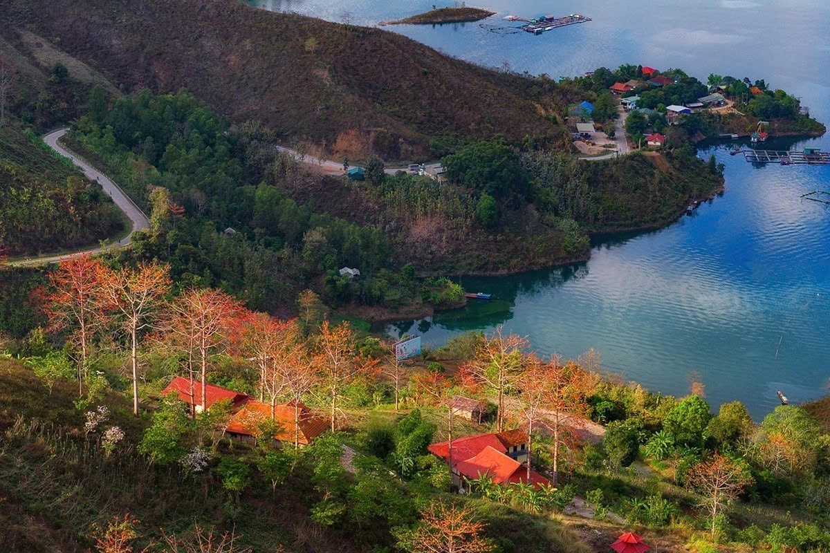 son la mountains ablaze with red silk-cotton blossoms picture 8
