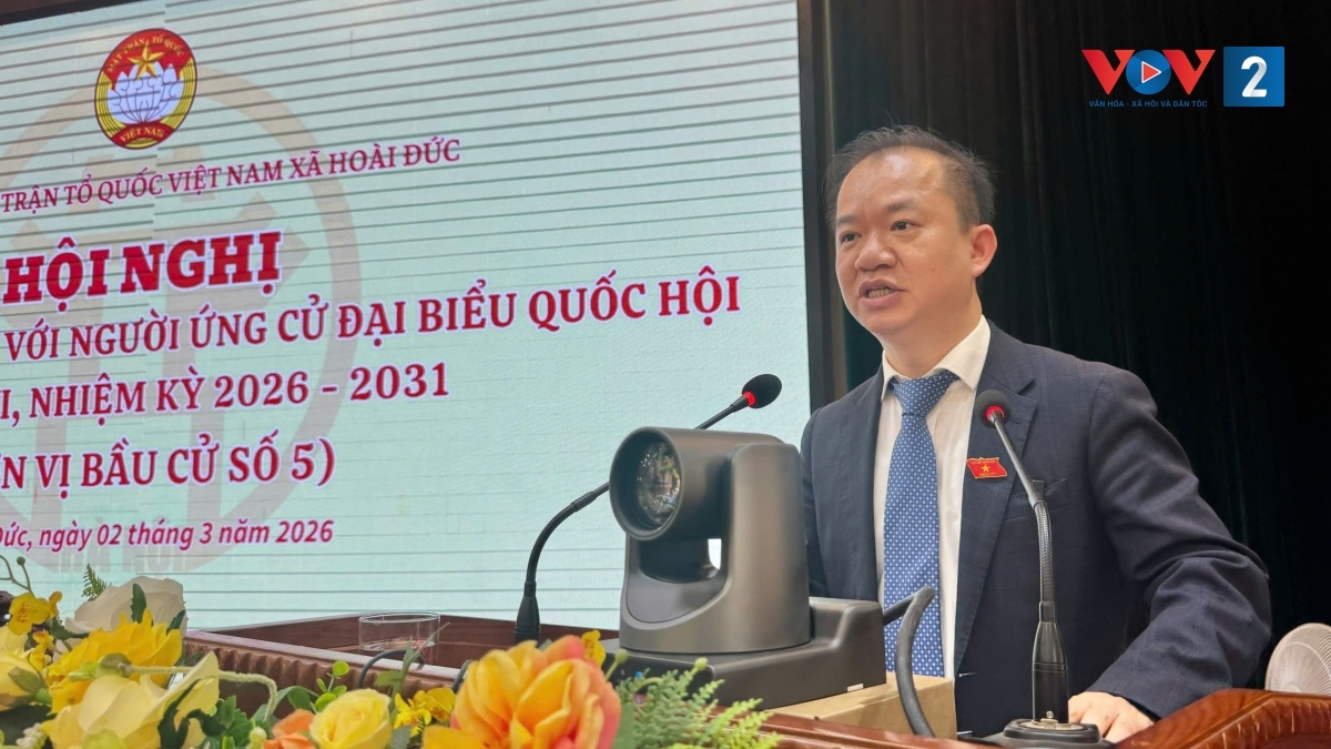 van hoa, nghe thuat can nhung dai dien xung dang trong quoc hoi hinh anh 2