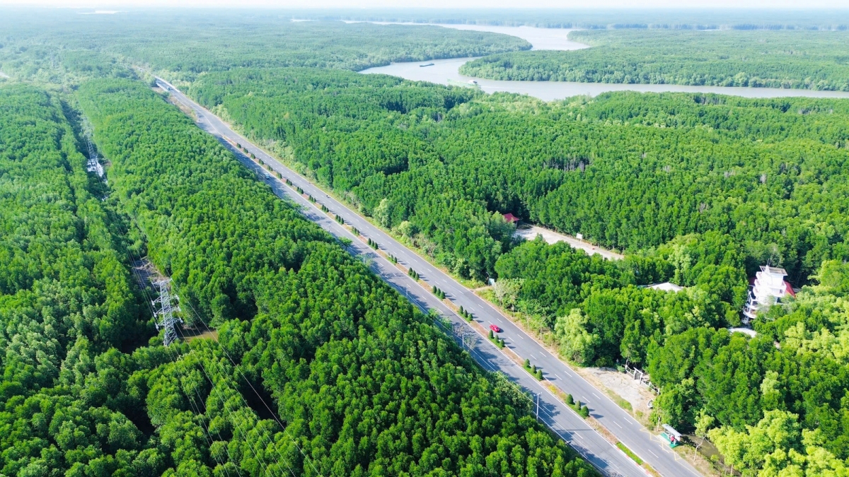 hon 5.000 vDv du vnexpress marathon green paradise can gio hinh anh 1